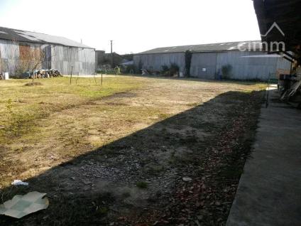 Bien APIMO:5629499 - Photo 4