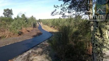 Bien APIMO:5634232 - Photo 15