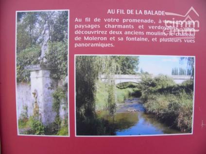 Bien APIMO:5648349 - Photo 6