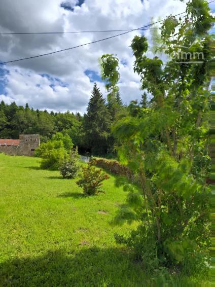 Bien APIMO:85001065 - Photo 3