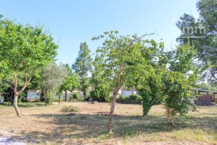Bien APIMO:5615464 - Photo 3