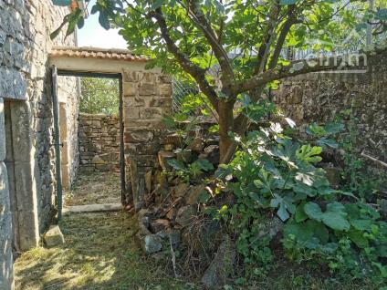 Bien APIMO:5910374 - Photo 6