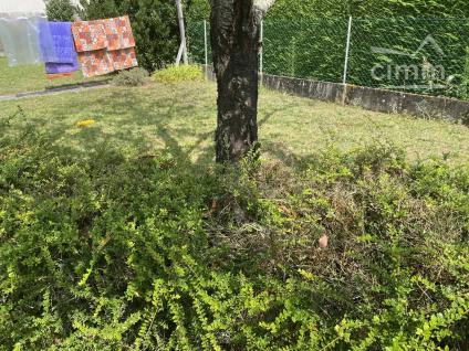 Bien APIMO:6493689 - Photo 6