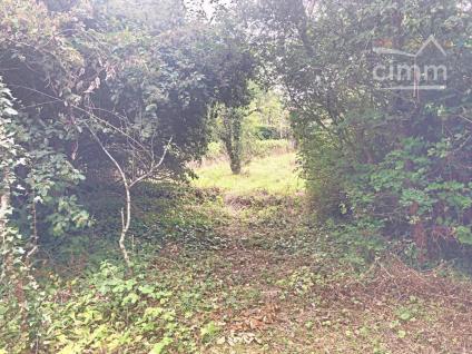 Bien APIMO:5613992 - Photo 2