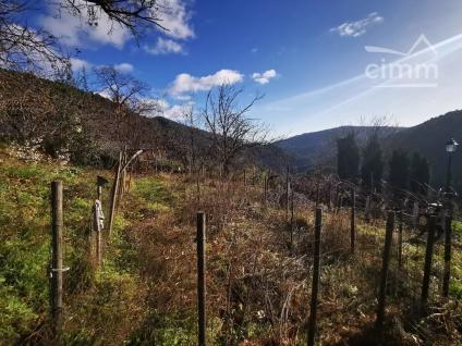 Bien APIMO:8104744 - Photo 10