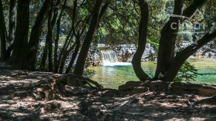Bien APIMO:7311606 - Photo 8