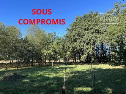 Bien APIMO:83128715 - Photo 1