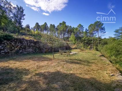 Bien APIMO:83300268 - Photo 5