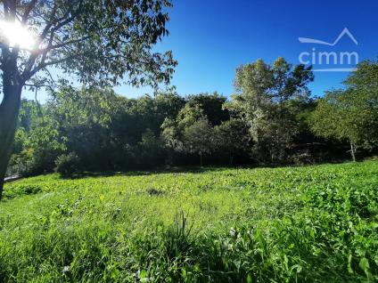Bien APIMO:7402705 - Photo 5