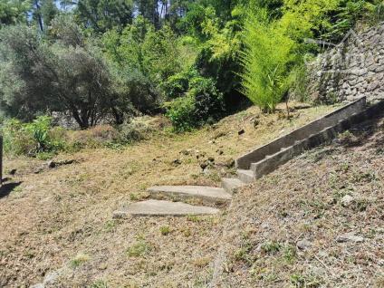 Bien APIMO:84175013 - Photo 6
