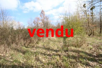 Bien APIMO:6767492 - Photo 1