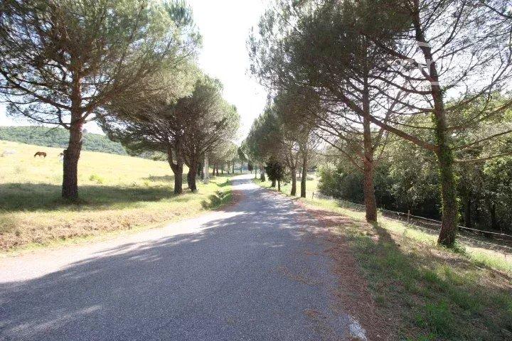 Photo 4 - Terrain à Limoux