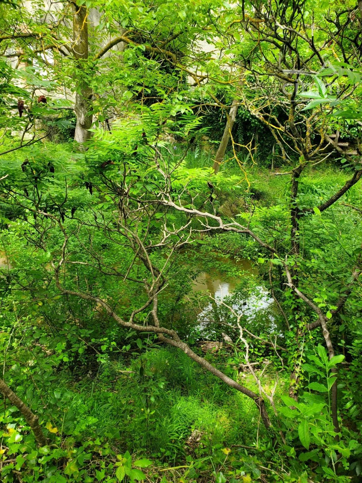Photo 3 - Terrain à Espéraza