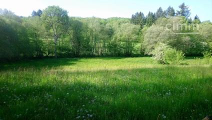 Bien APIMO:82883252 - Photo 3