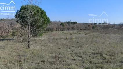 Bien APIMO:5577669 - Photo 3