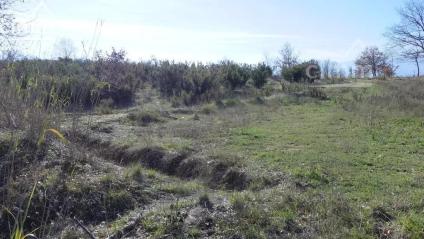 Bien APIMO:5577669 - Photo 4