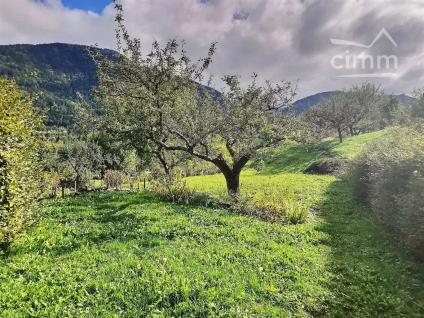 Bien APIMO:7402457 - Photo 7