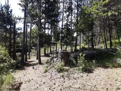 Bien APIMO:85063241 - Photo 4