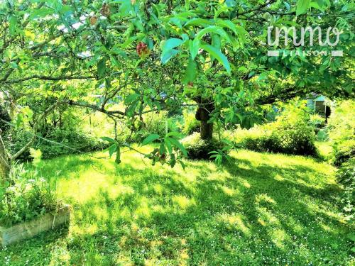 Photo secondaire 1