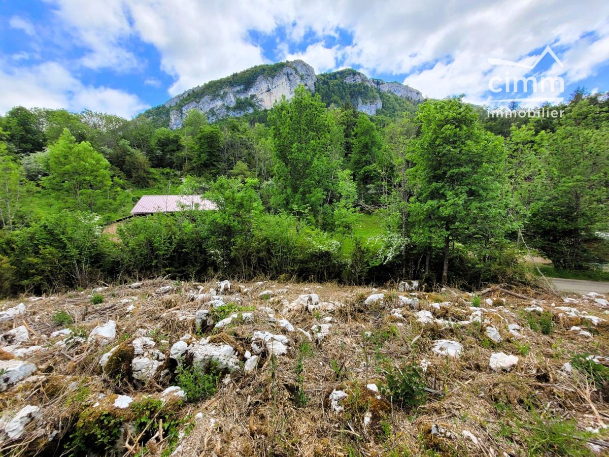 Photo principale - Terrain à La Chapelle-en-Vercors