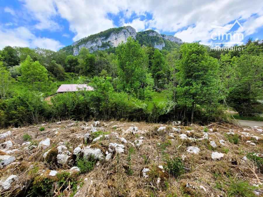 Photo principale - Terrain à La Chapelle-en-Vercors