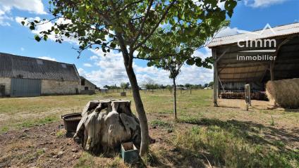 Bien NETTY:GROUP:VM595 - Photo 12