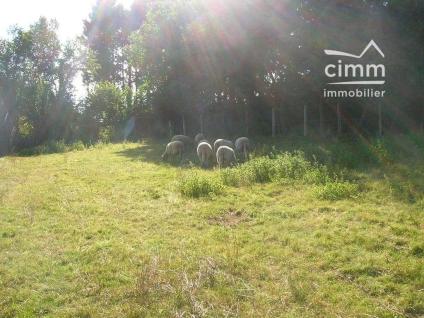 Bien NETTY:GROUP:VT907 - Photo 1
