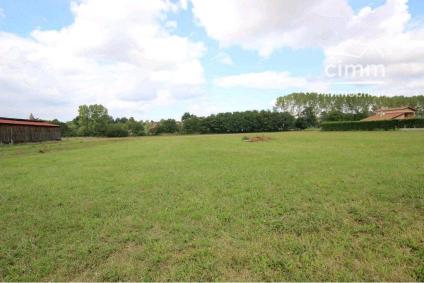 Bien NETTY:GROUP:VT951 - Photo 2
