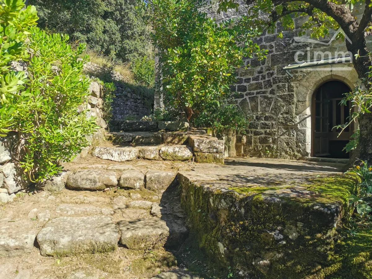Photo 10 - Maison à Saint-André-Lachamp