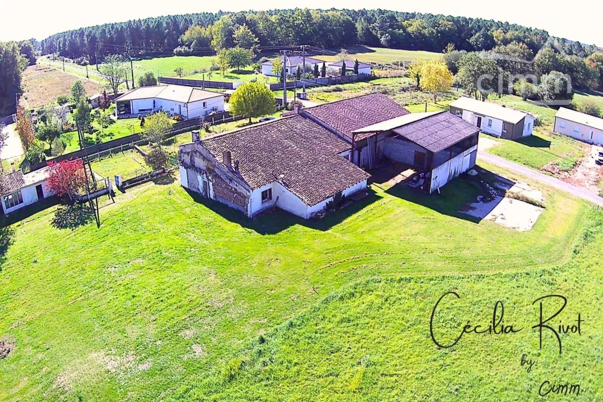 Photo 17 - Maison à Bussac-Forêt