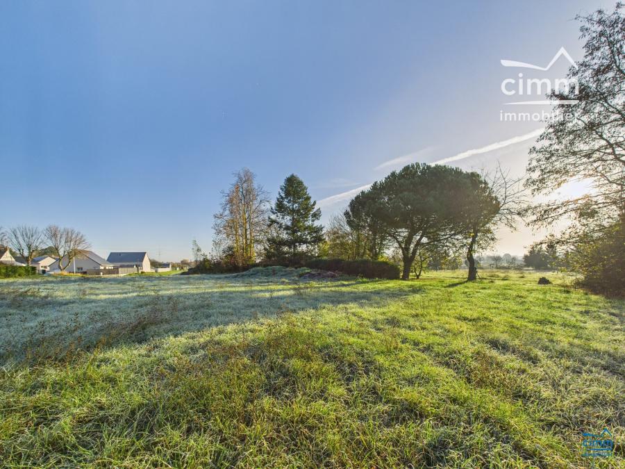 Photo principale - Terrain à Longué-Jumelles