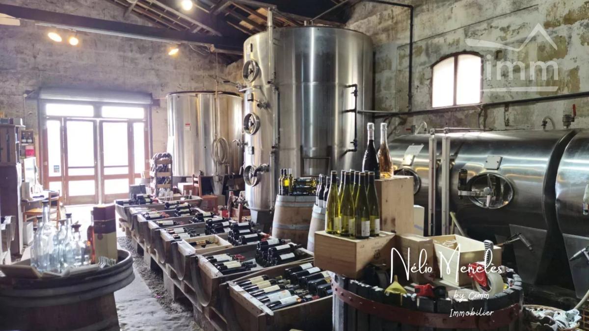 Photo principale - Commerce à Bordeaux