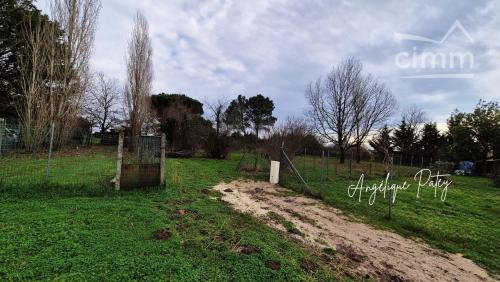 Photo secondaire 2