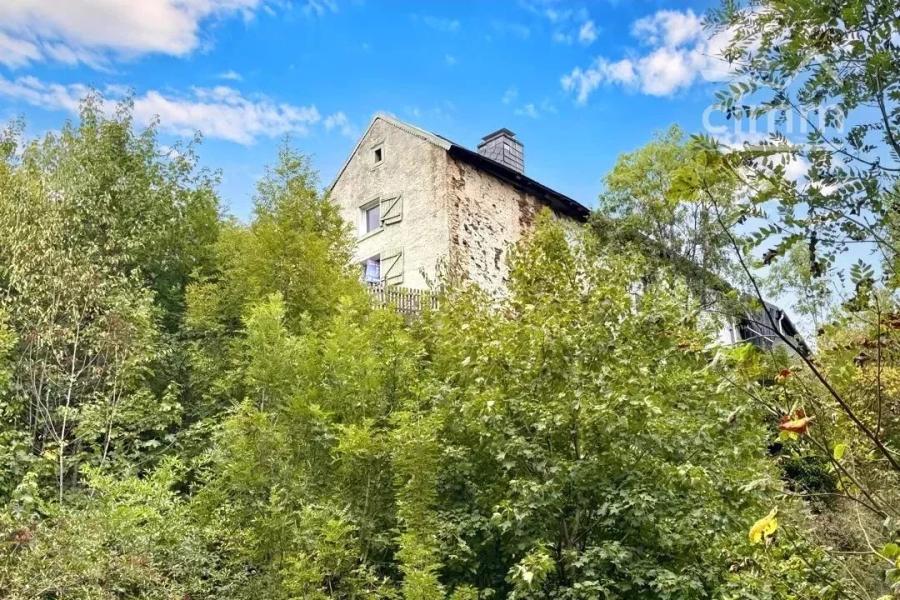 Photo principale - Maison à Eisenbach