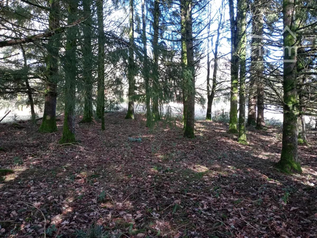 Photo principale - Terrain à Royère-de-Vassivière