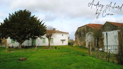 Bien APIMO:86757508 - Photo 12
