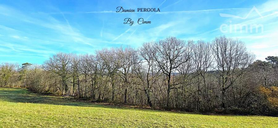 Photo principale - Terrain à Saint-Léon-sur-Vézère