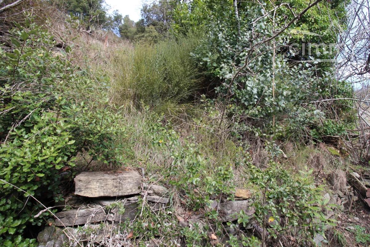 Photo 2 - Maison à Axat