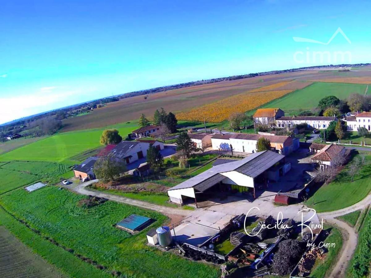Photo 4 - Maison à Val-de-Livenne