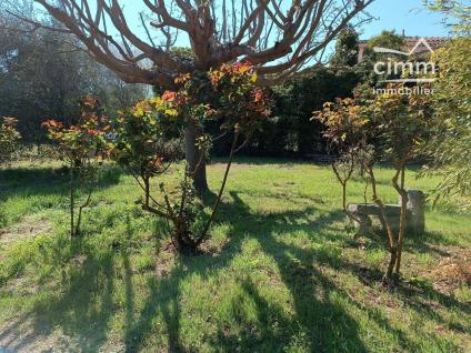 Bien NETTY:GROUP:LM16816 - Photo 3