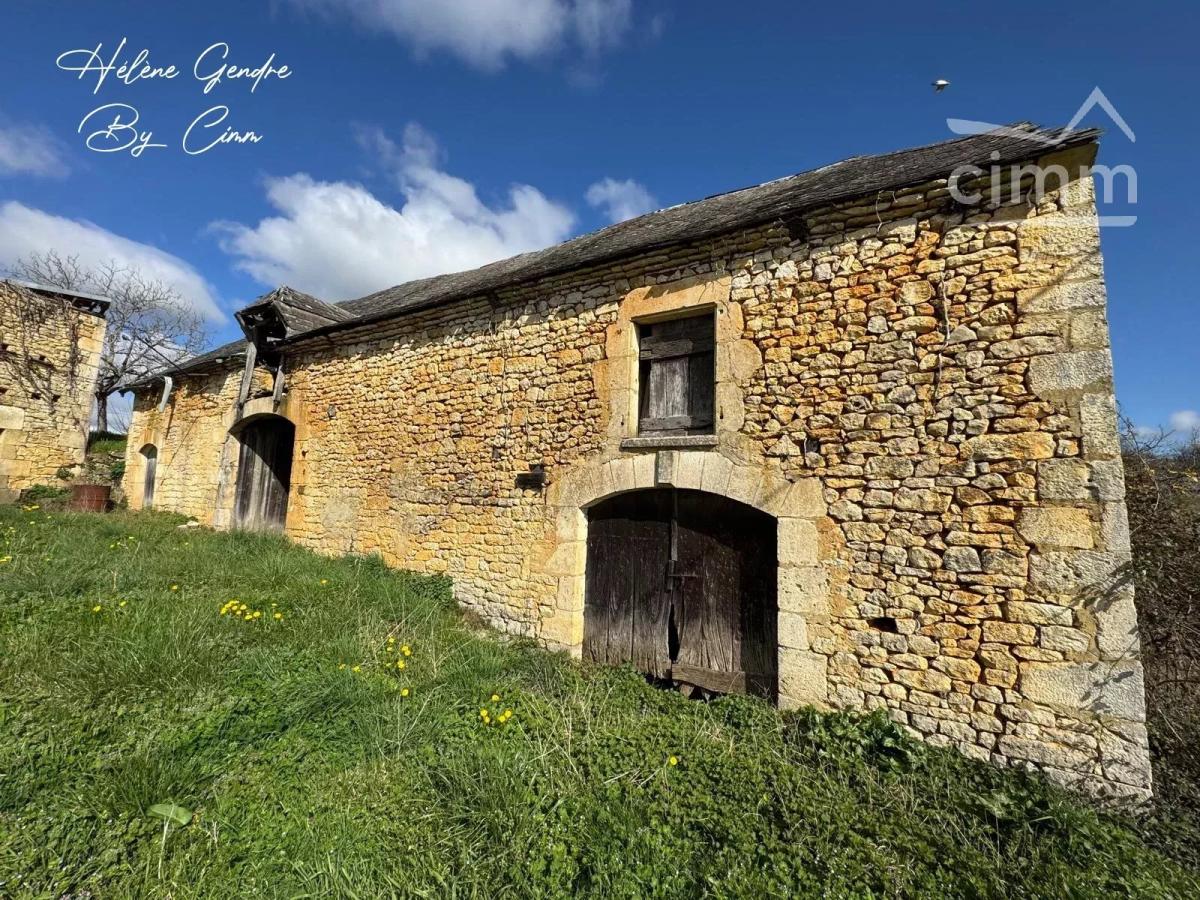 Photo 13 - Maison à Salignac-Eyvigues