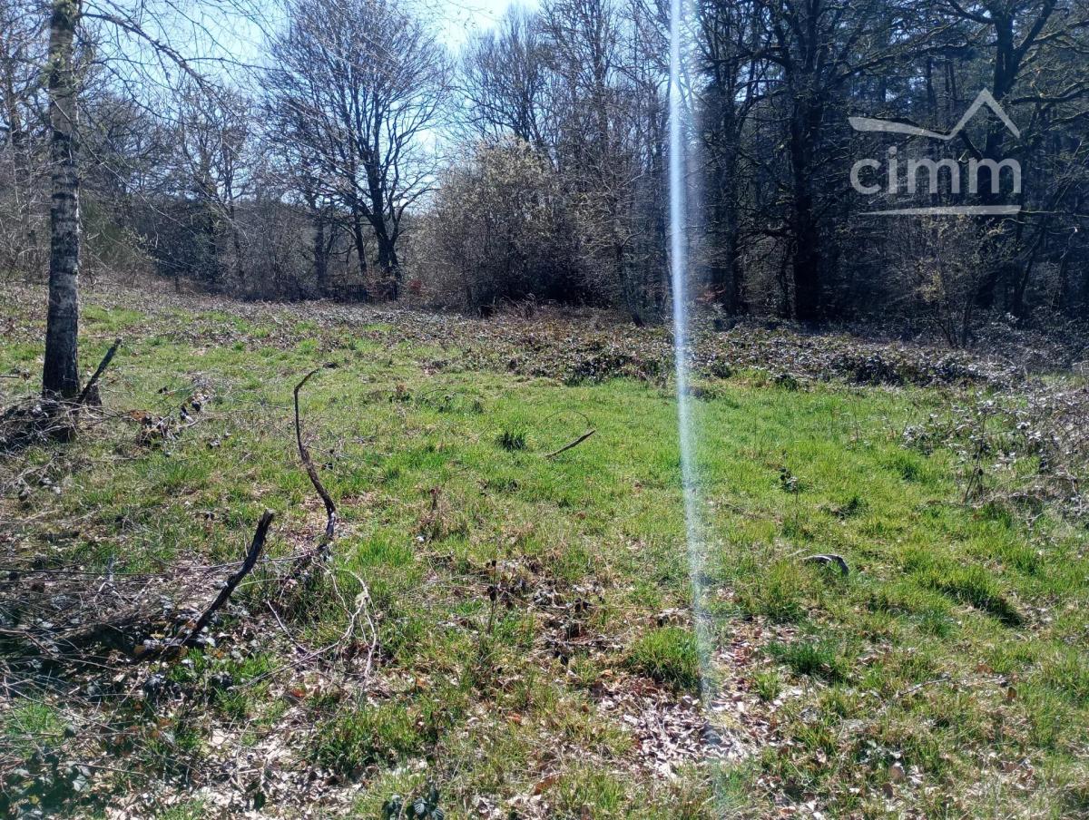 Photo 2 - Terrain à Royère-de-Vassivière