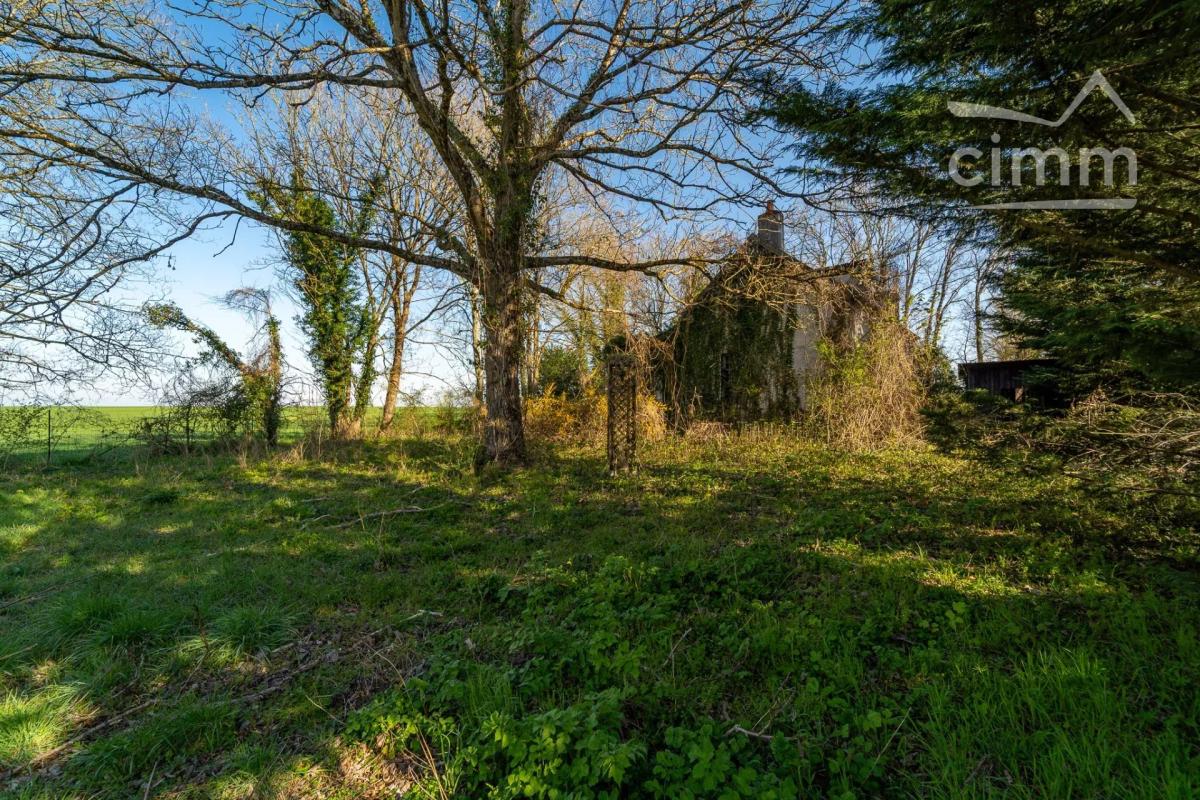 Photo 3 - Maison à Narcy