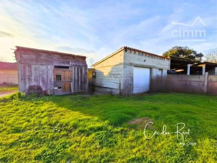 Bien APIMO:86822995 - Photo 6