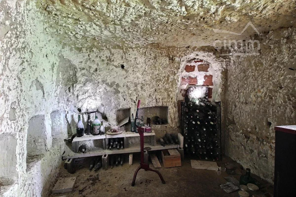Photo 11 - Maison à Cinq-Mars-la-Pile