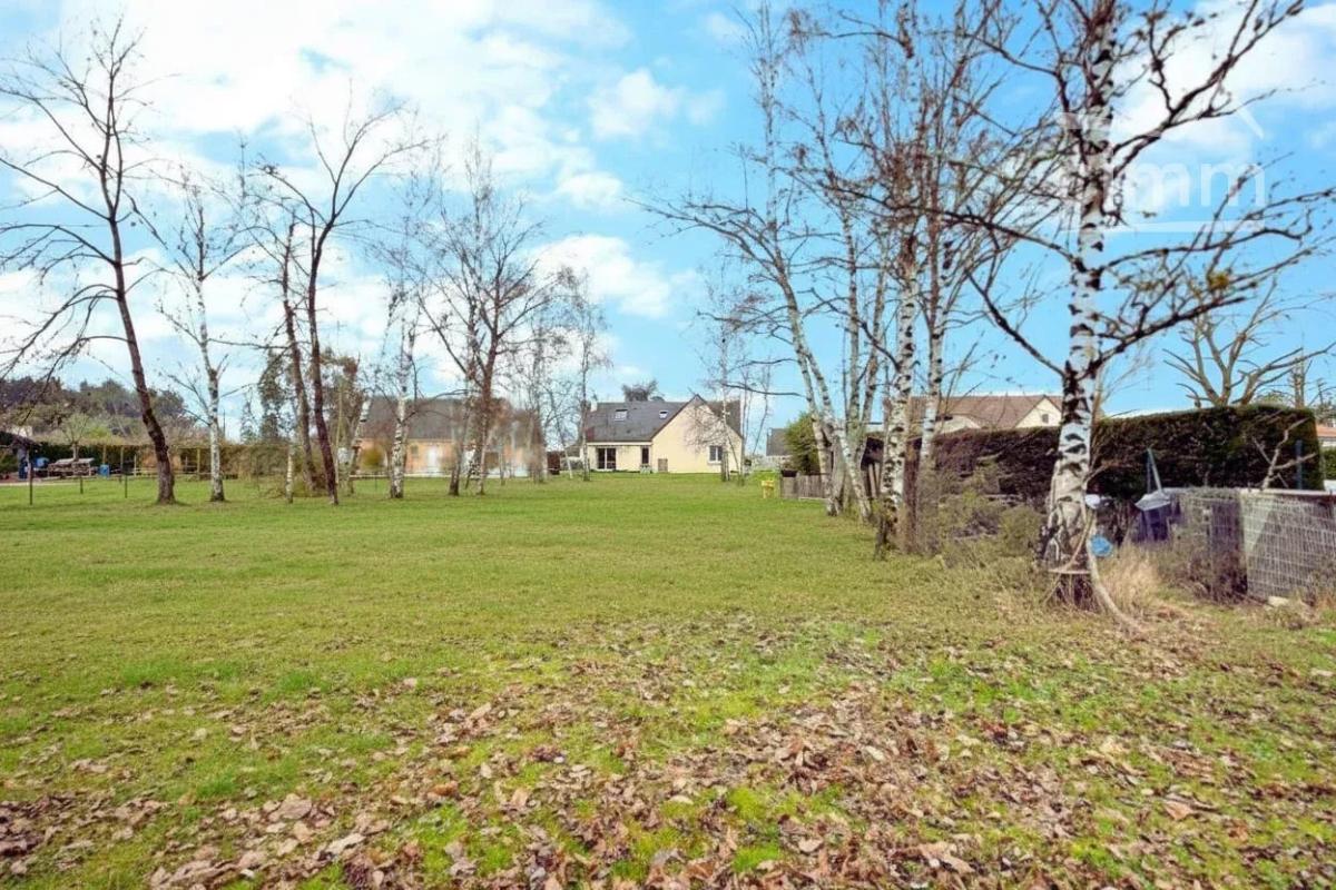 Photo 4 - Maison à Saint-Dyé-sur-Loire