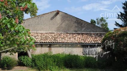 Bien APIMO:86941114 - Photo 3