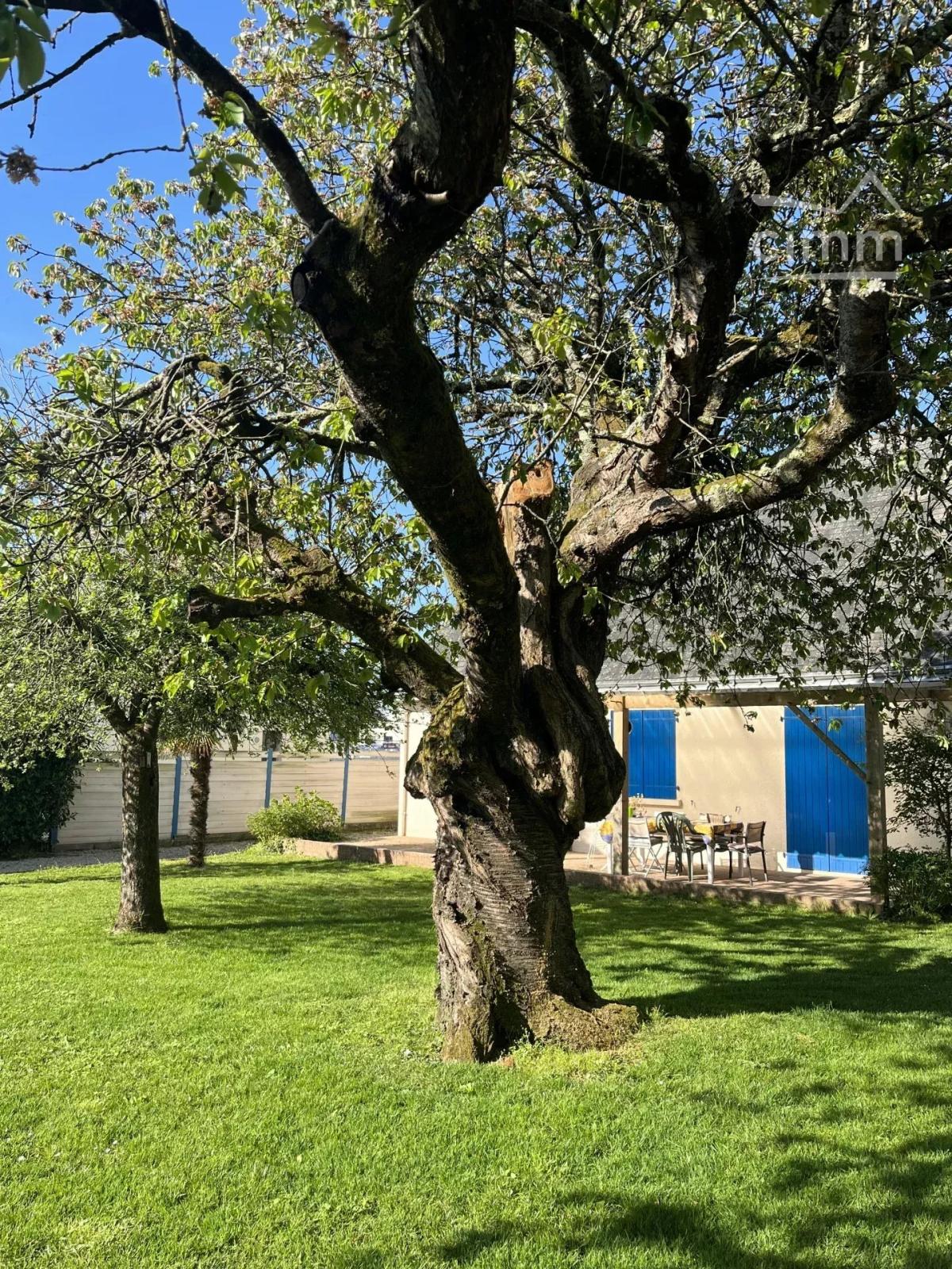 Photo 18 - Maison à Nort-sur-Erdre