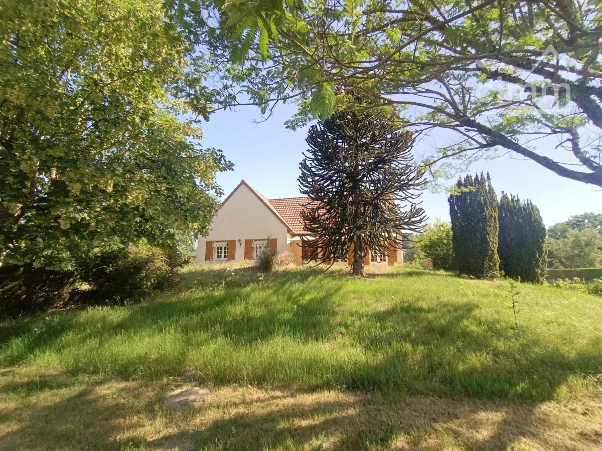 Photo 13 - Maison à Romorantin-Lanthenay