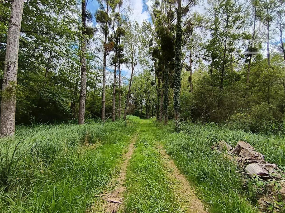 Photo 3 - Terrain à Saint-Lubin-en-Vergonnois